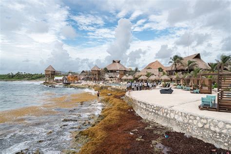 Discover Mexico's ancient Mayan history and beautiful landscapes during this shore excursion from the Costa Maya dock. First, head to the Chacchoben archaeological site for a guided tour of the ancient Mayan site that dates back to 200 BC. Then, head to Bacalar Lagoon, famous for its colorful waters, and enjoy time to swim, sunbathe, or even kayak.